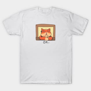 Ok. T-Shirt